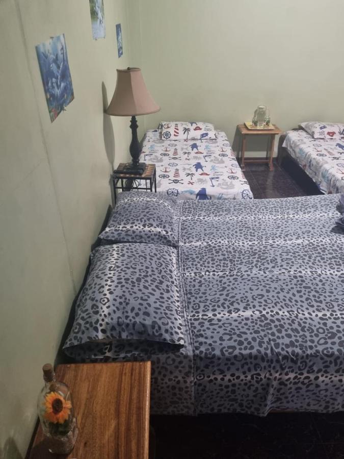 Hotel Paradise Alajuela Río Segundo Zewnętrze zdjęcie